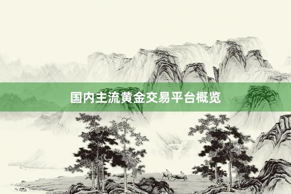 国内主流黄金交易平台概览